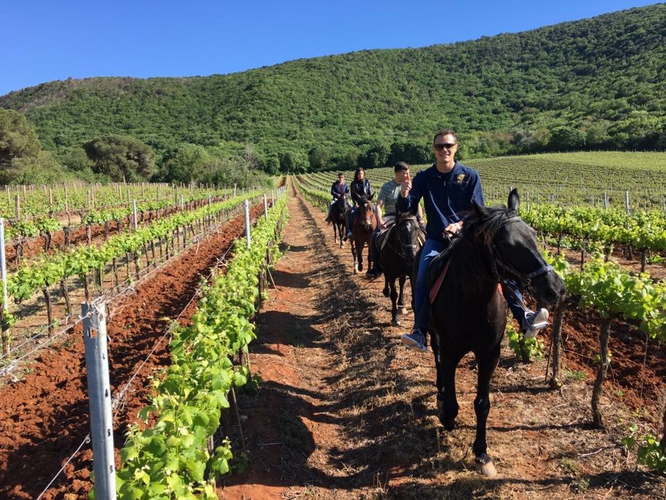 Passeggiata a cavallo tra i vigneti della Parrina