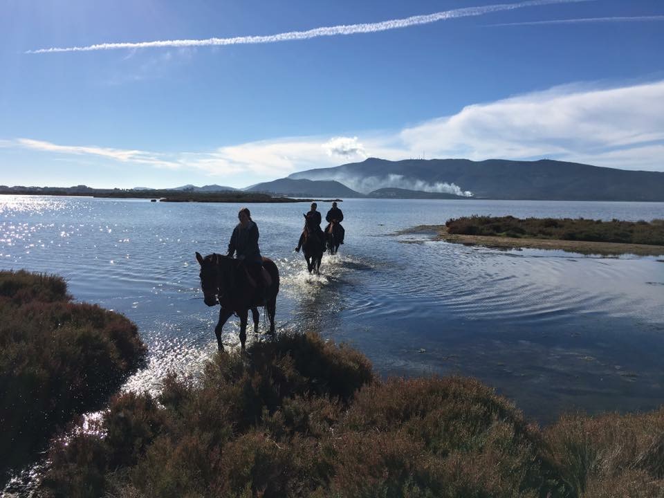 Passeggiata di tre ore a cavallo nella laguna di Orbetello