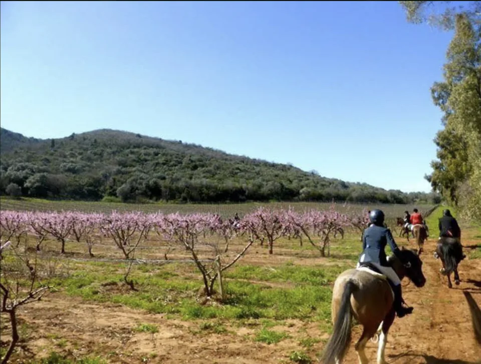 Passeggiata a cavallo tra i frutteti fioriti della Parrina